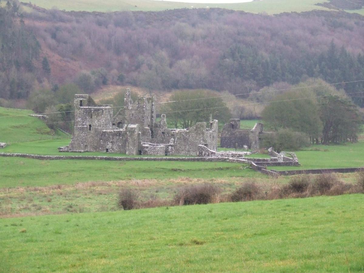 Mullaghmeen Forest Mullingar Eksteriør bilde